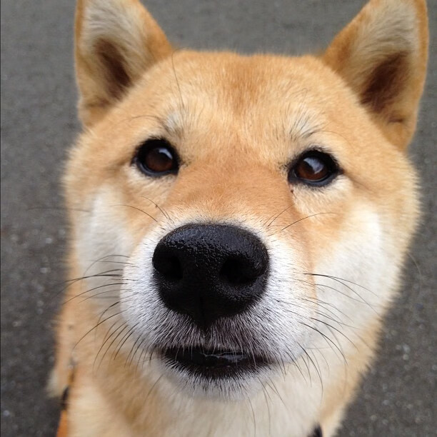 KAIYUNAPP-“青训比赛中涌现多名潜力股，引发市场热议”，青训选拔赛