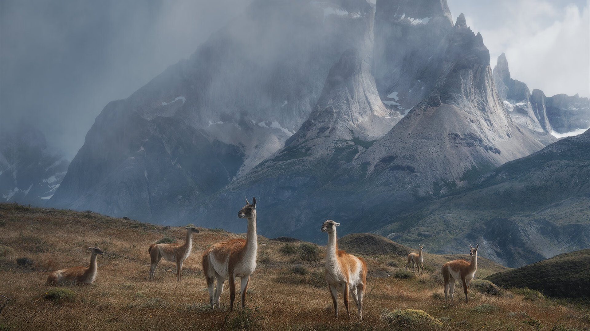 开云官方网站-【经典比赛】奥沙利文：逆境中的逆转奇迹，奥沙利文惊天大逆转