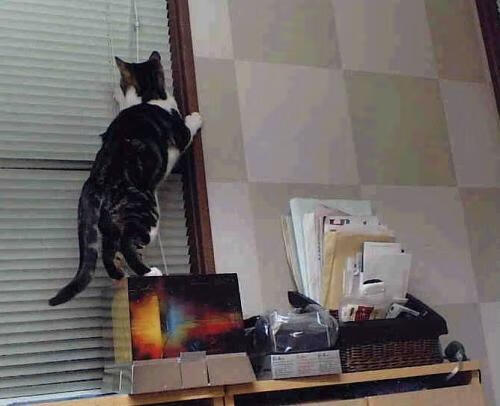 kaiyun网站-乌克兰队晋级欧洲杯十六强，表现令人惊喜，乌克兰队欧洲杯大名单